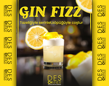 Gin Fizz